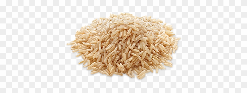 Grain Clipart Single Rice Grain - Augason Farms Emergency Food Long Grain Brown Rice, #1335956