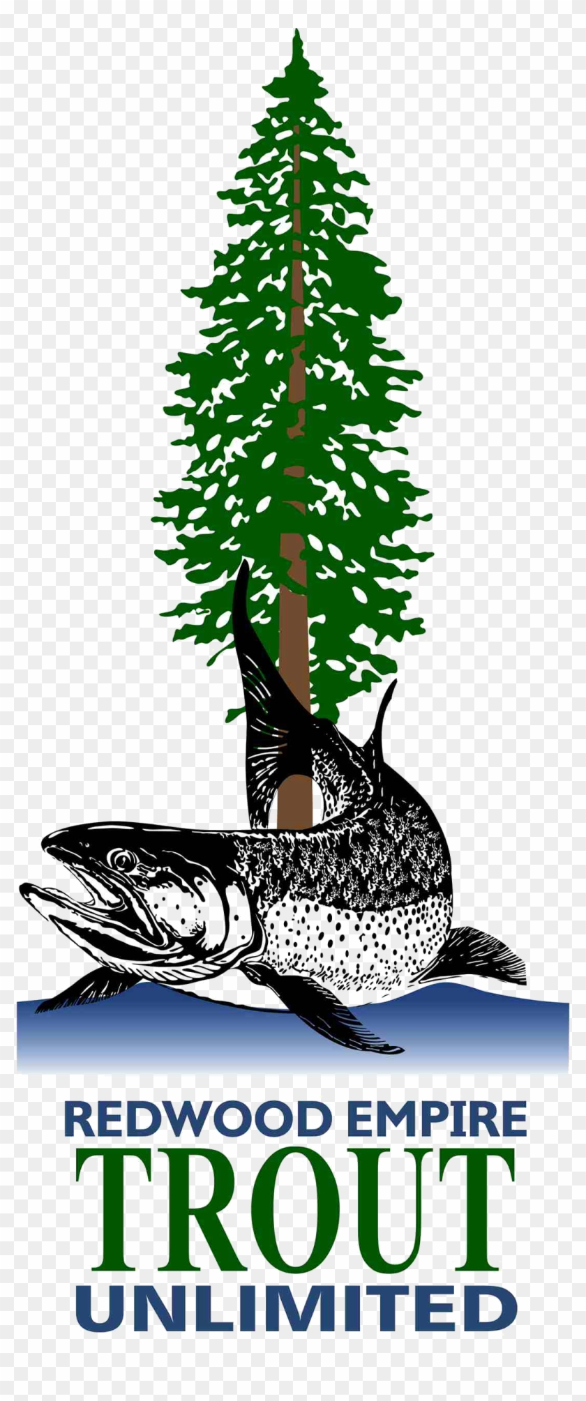 Spruce Fir Christmas Tree Pine Christmas Ornament - Whale Shark #1336068