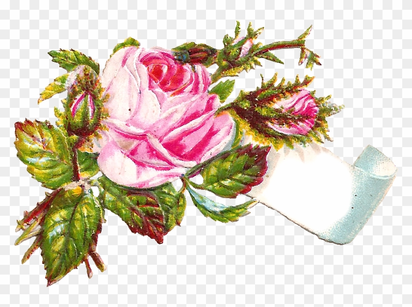 Isn't This Pink Flower Image Gorgeous I've Created - Elegantes Modernes Berufliches Gestreiftes - Rose Visitenkarte #1336158