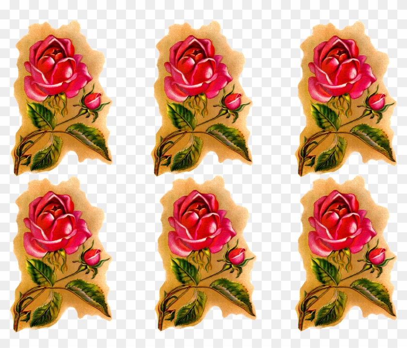 Rose Flower Downloads Clip Art - Garden Roses #1336163