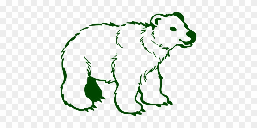 Free Download Brown Bear Polar Bear Clip Art - Polar Region Animals Drawing #1336221