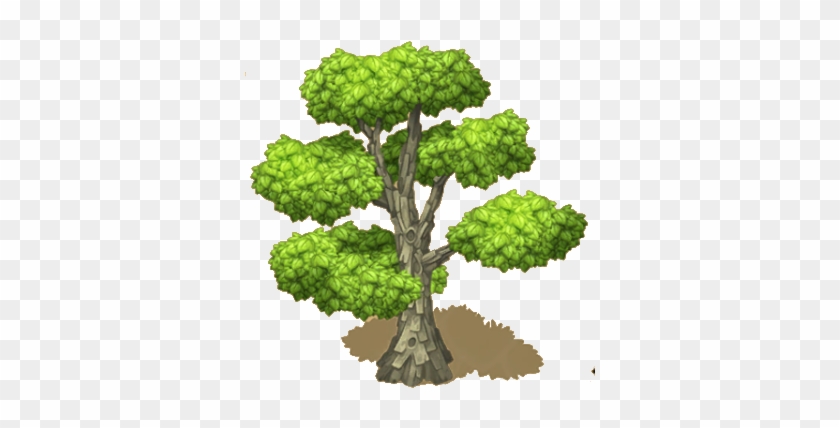 Super Sycamore Tree - Gambel Oak #1336322