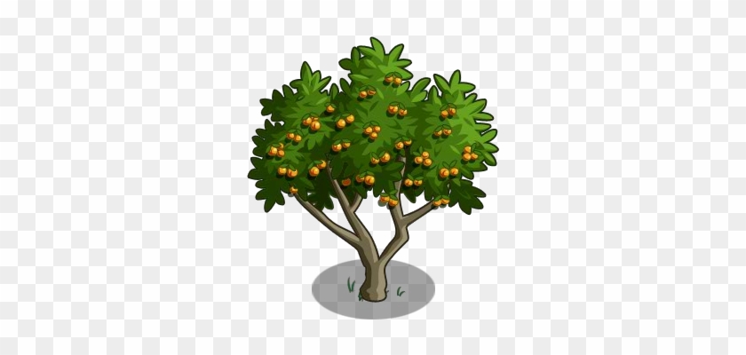 Apricot Tree 100-icon - Christmas Tree #1336331
