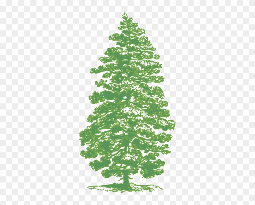 Green Pine Tree Clip Art - Parts Of A Pine Tree #1336365