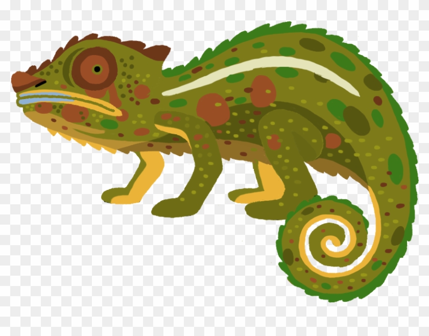 Chameleons Iguanas - Cameleon - Caméléon Png #1336383