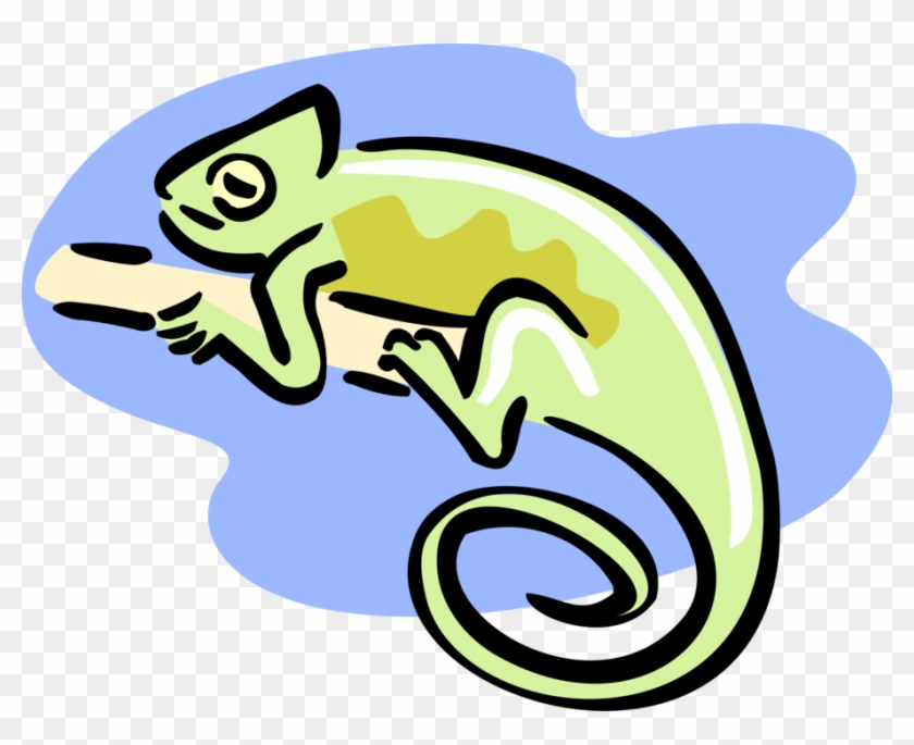 Vector Illustration Of Chameleon Reptile Lizard On - Paint #1336415