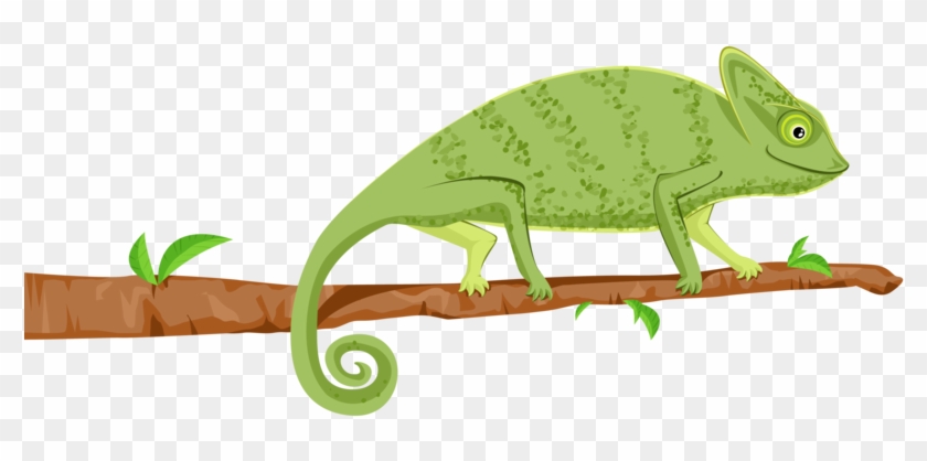 Chameleon By Mhbilder - American Crocodile #1336416