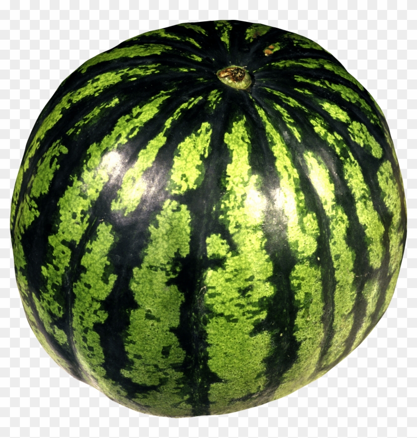 Watermelon Tree Cliparts - Watermelon Png #1336425