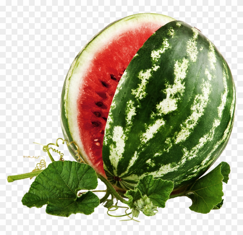 Watermelon Wallpaper, Spring Green, Summer Fun, Pink, - Watermelon Isolated On White Background #1336427