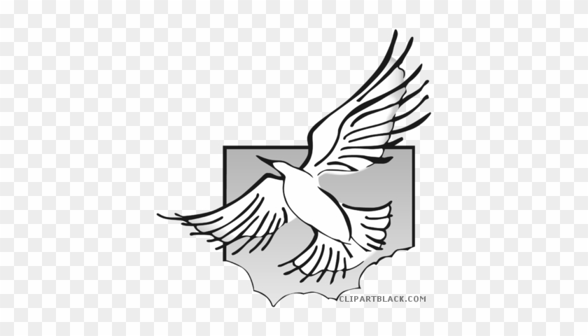 Wonderful Dove Animal Free Black White Clipart Images - Swallow #1336498