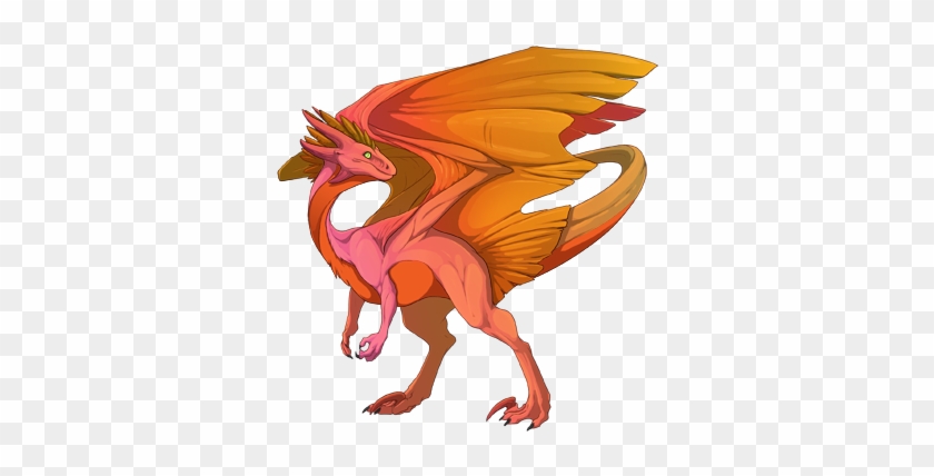 Male - Tangerine/fire/fire - Dragon #1336538