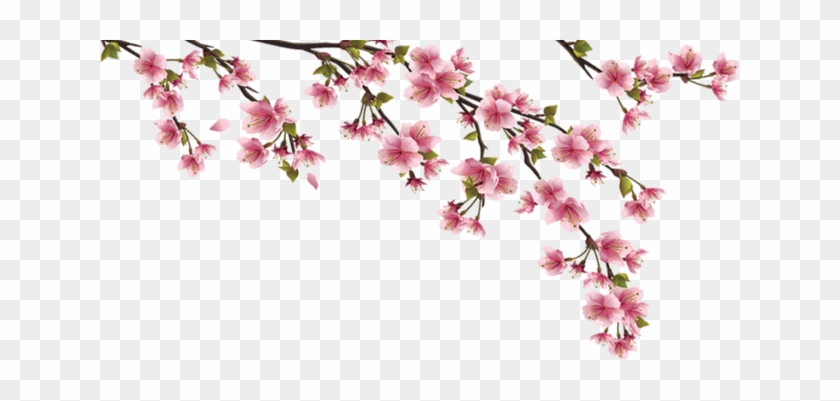 File - Blossom' - Pink Cherry Blossom Branch Png Transpaprent #1336683