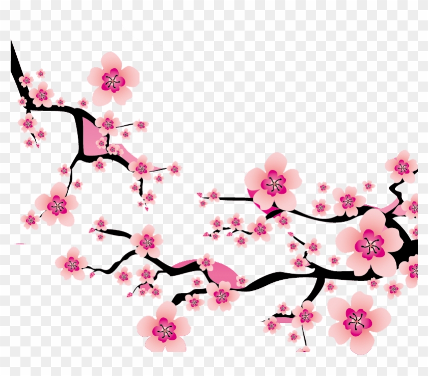 Sakura Blossom Clipart Plum Flower - Cherry Blossom Vector Png #1336685