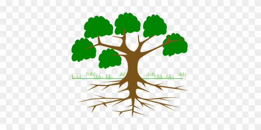 Tree-309046 - Root Of A Tree Cartoon #1336754