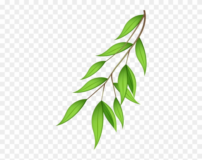 Green Branch Png Transparent Clip Art Image - Portable Network Graphics #1336948