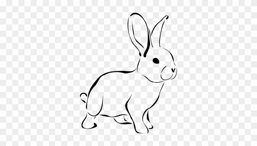 Clipart Rabbit - Rabbit Black And White Clipart #1336980