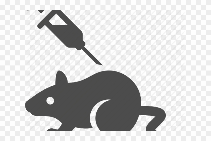 Rat Clipart Injection - Rat #1337063