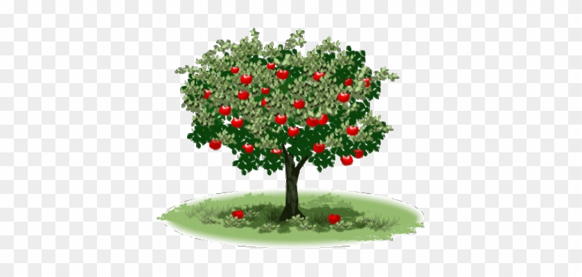 Apple Tree Member - Fall Apple Tree Clip Art #1337180