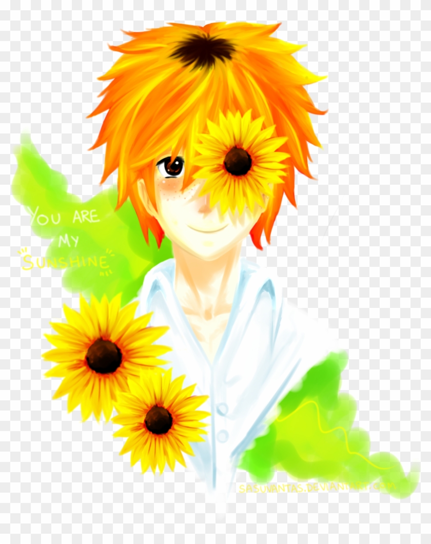 You Are My Sunshine - Sunflower #1337637
