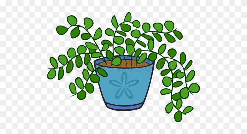 Potted Plant - Portable Network Graphics #1337693
