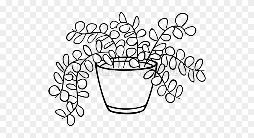 Subjects/media Plants, Vectors - Black And White Indoor Plants Clipart #1337705