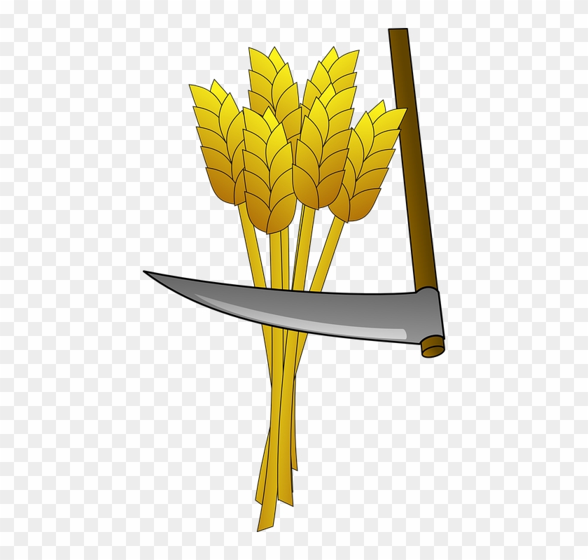 Ear Of Corn Clipart 20, Buy Clip Art - Crops In Ancient Greece #1337741