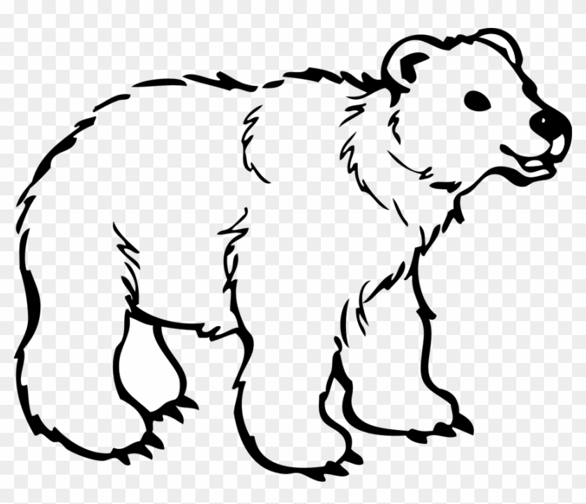 Cub Clipart Snow Bear - Bear Cartoon Black And White #1337778
