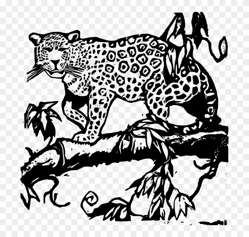 Snow Leopard Clipart Clip Art - Buyenlarge J Is For Jaguar Print #1337784