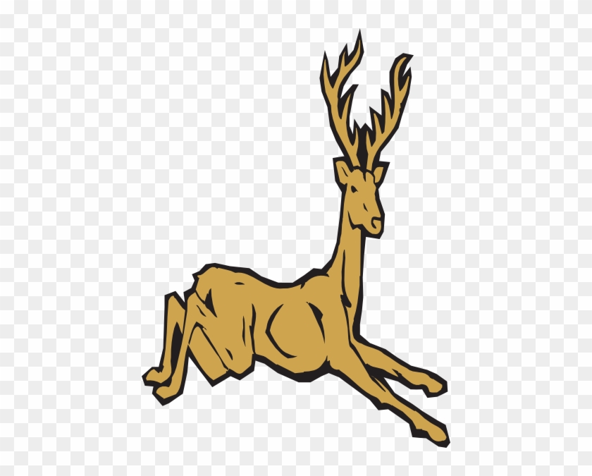 Deer #1337892