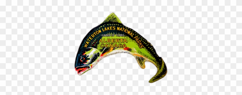 Waterton Lakes National Park Fish Sticker Png - Waterton Lakes National Park #1337894