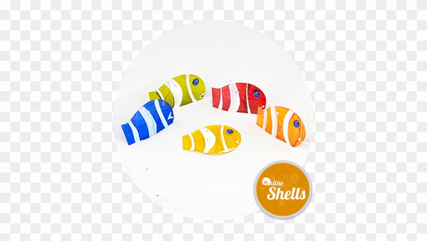 Capiz - Pomacentridae #1337931