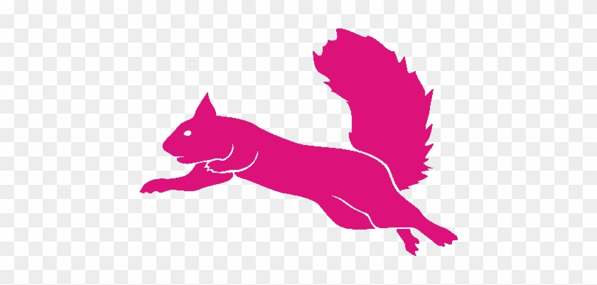 Blind Squirrel Clip Art - Flying Squirrel Trampoline Park Logo #1337979
