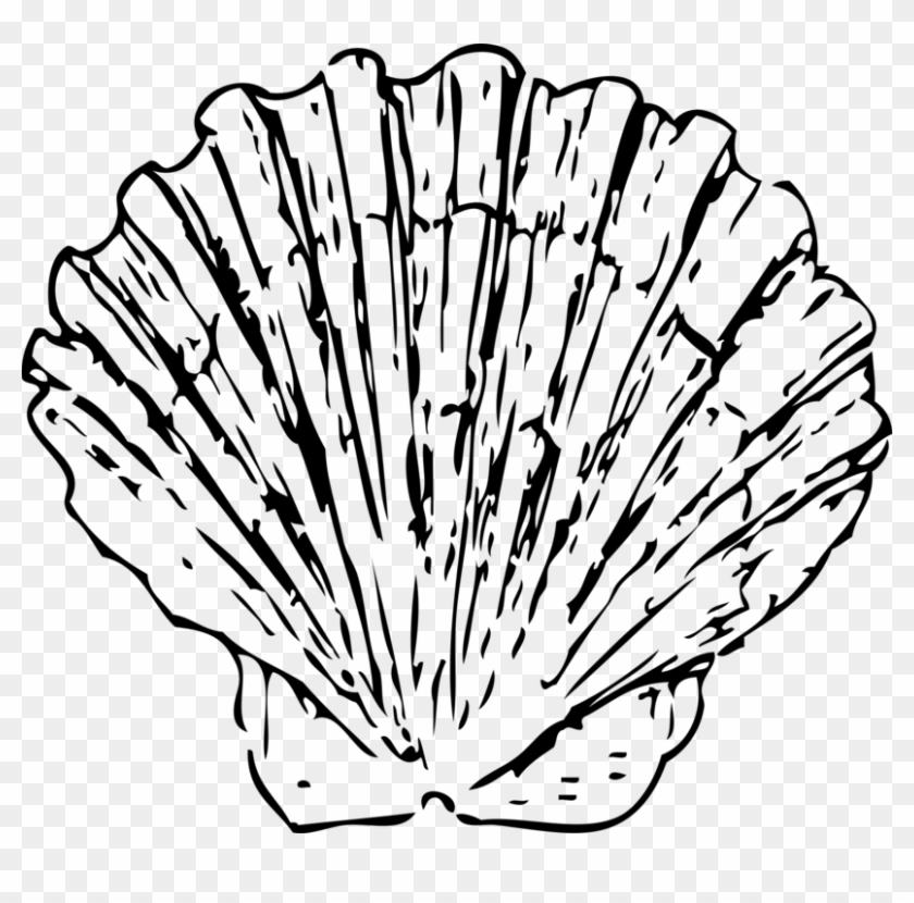 Shells Clipart Black And White #1338414