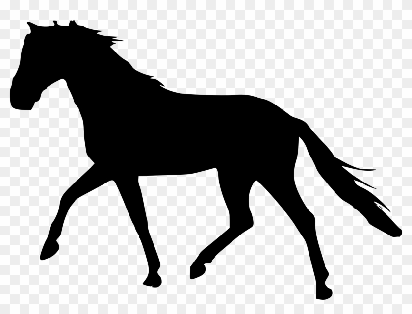 Horse Silhouette Png Free Images Toppng Transparent - Irish Wolfhound Vector #1338459