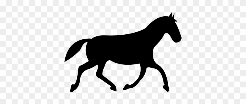 Black Race Horse Walking Pose Vector - Desenho Cavalo #1338462