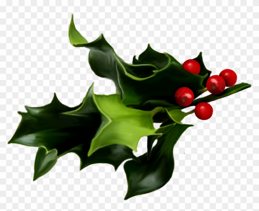 Mistletoe Png Art Whether It Is Holly, Mistletoe - Mistletoe Png #1338610