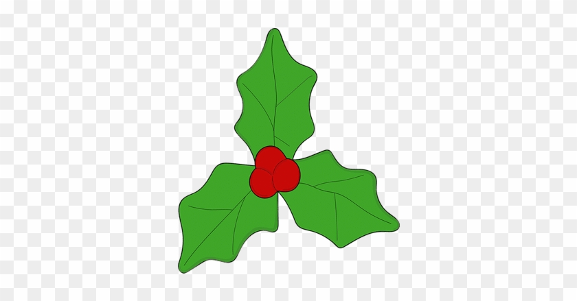 Mistletoe Vector Icon - Bark Mistletoe Dog Toy #1338615