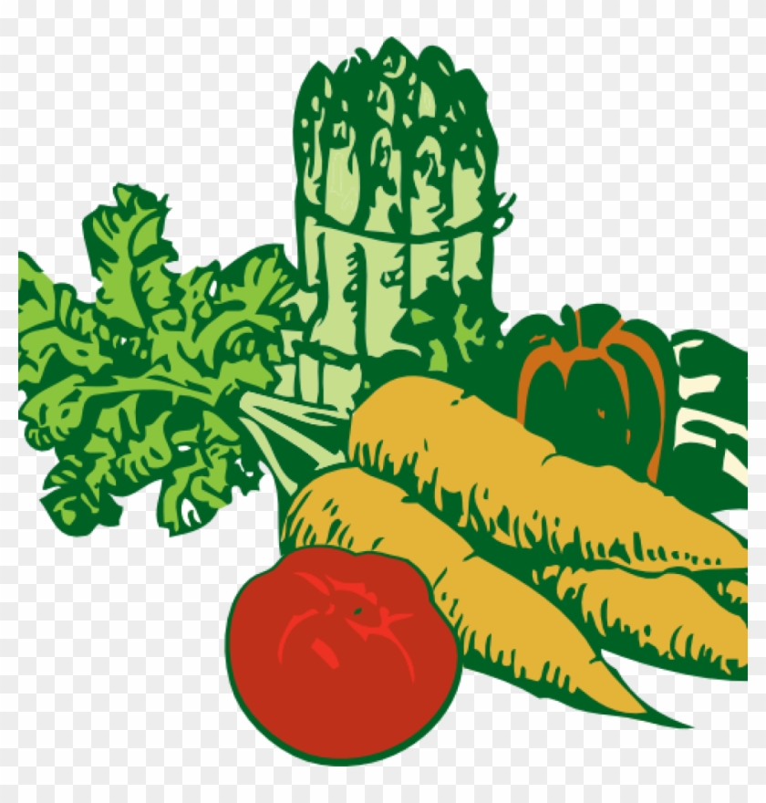 Vegetable Garden Clipart Vegetable Garden Clipart Clipart - Vegetable Garden Clipart Png #1338667