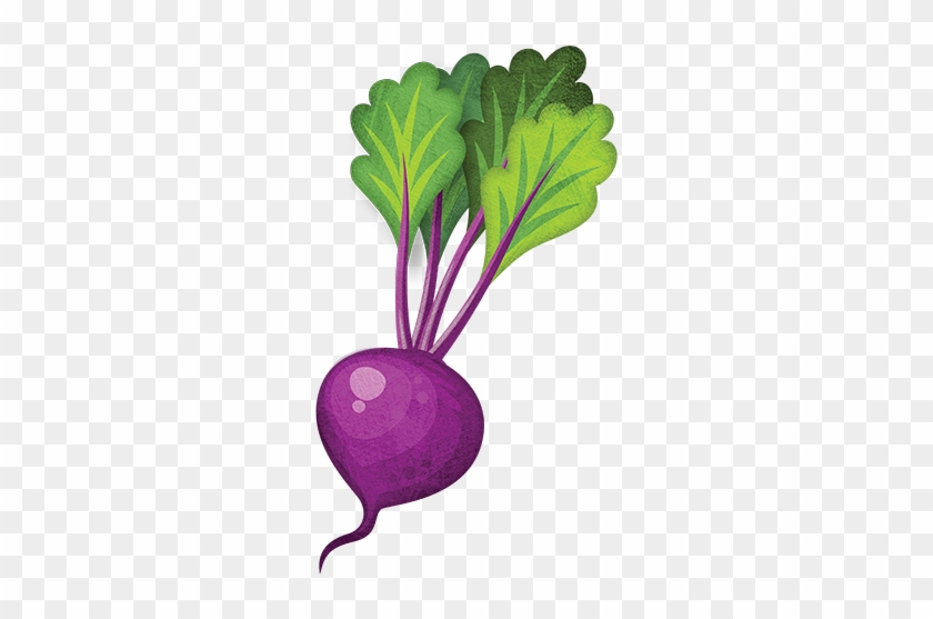 Beetroot - Turnip Png #1338670