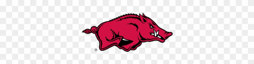 Arkansas - Arkansas Razorbacks Football #1338695