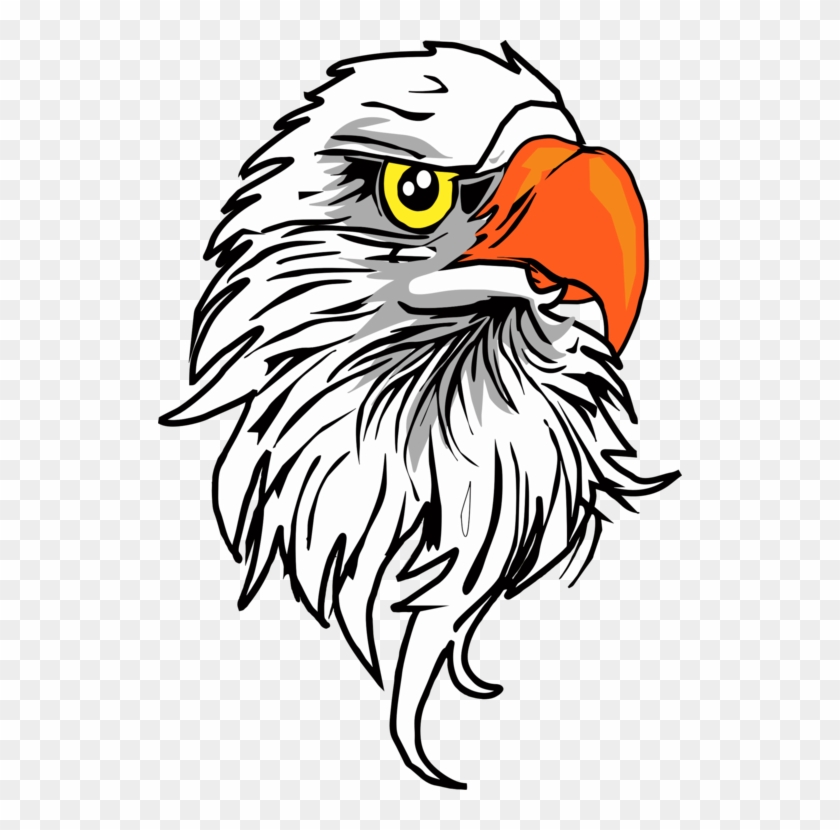 All Photo Png Clipart - Eagle Head Png #1338735
