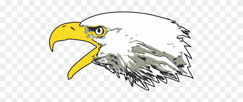 Eagle,bald Eagle,screaming Head - Screaming Eagle Transparent Background #1338738