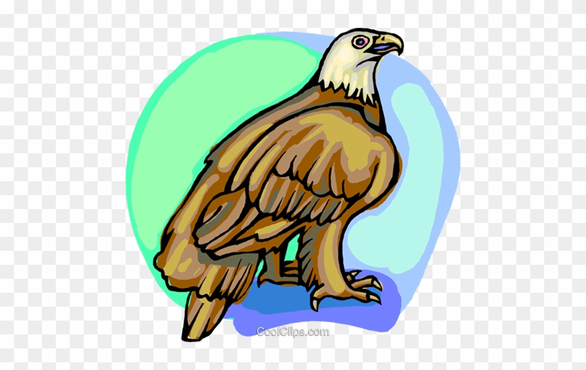 American Eagle Royalty Free Vector Clip Art Illustration - Eagle #1338740