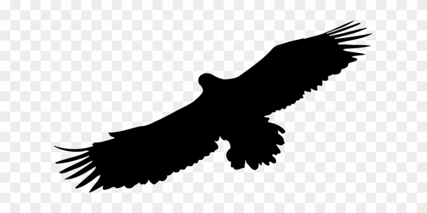 Bird Bald Eagle Silhouette Golden Eagle - Kotka Siluetti #1338786