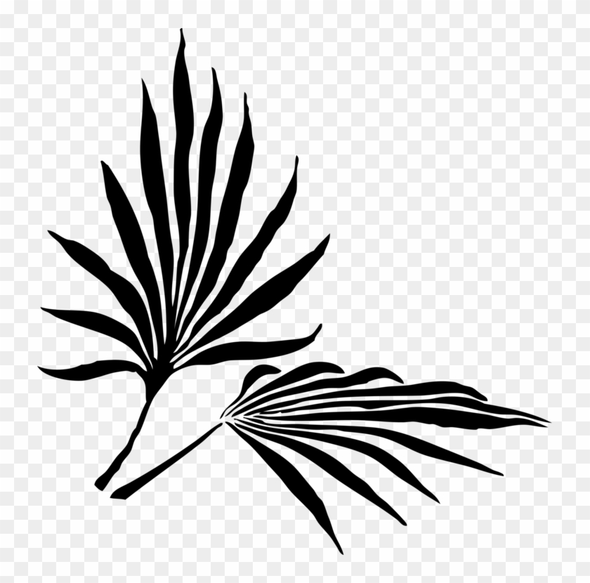 All Photo Png Clipart - Palm Frond Clip Art #1338905