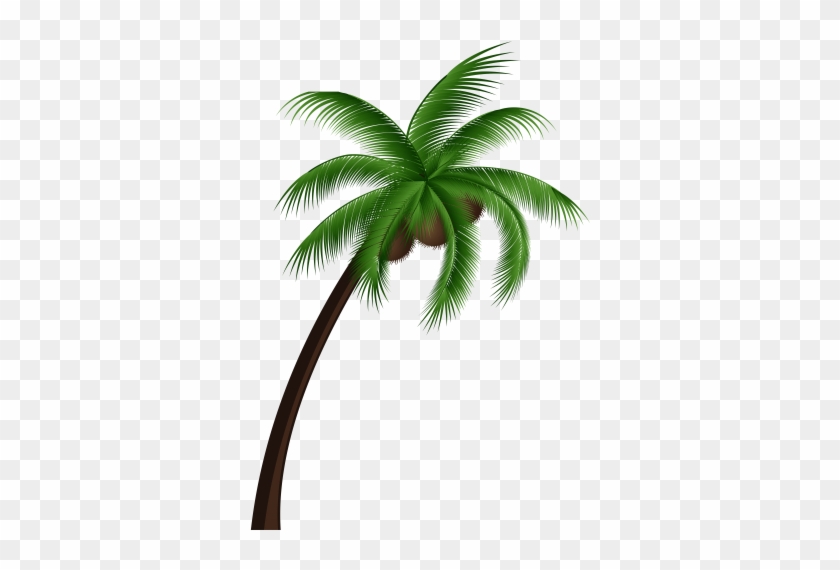 Jpg Black And White Download Coconut Tree Png Clip - Coconut Tree Vector Png #1338920