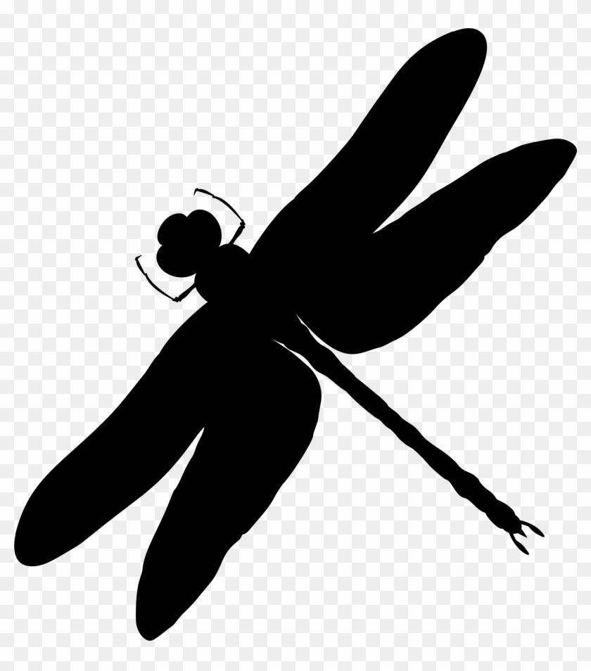 Big Image - Dragonfly Silhouette #1338923