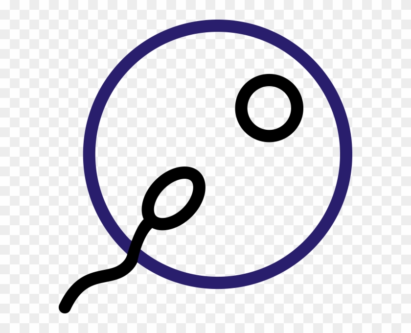 Icsi - Spermatozoon #1338996