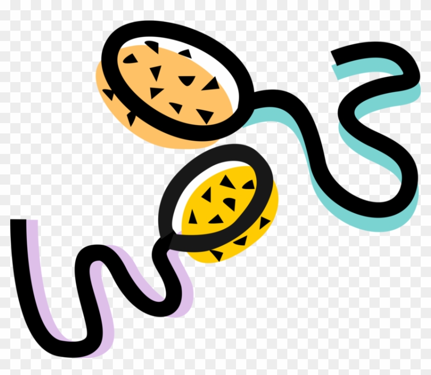 Vector Illustration Of Sexual Reproduction Male Sperm - Vector Illustration Of Sexual Reproduction Male Sperm #1339017
