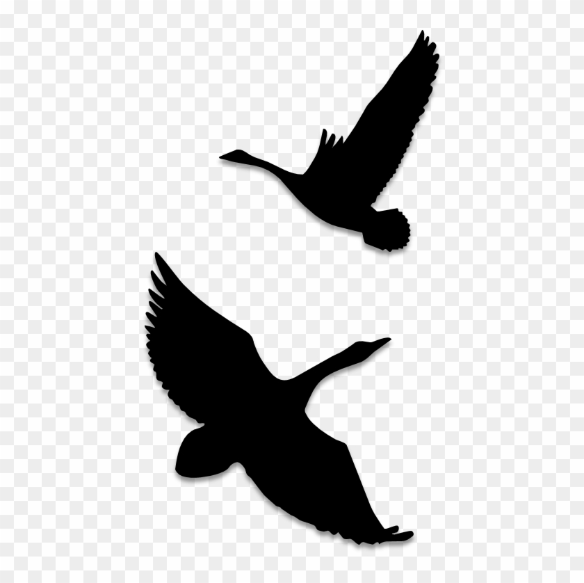 Birds Silhouettes Art & Islamic Graphics - Silhouette #1339249